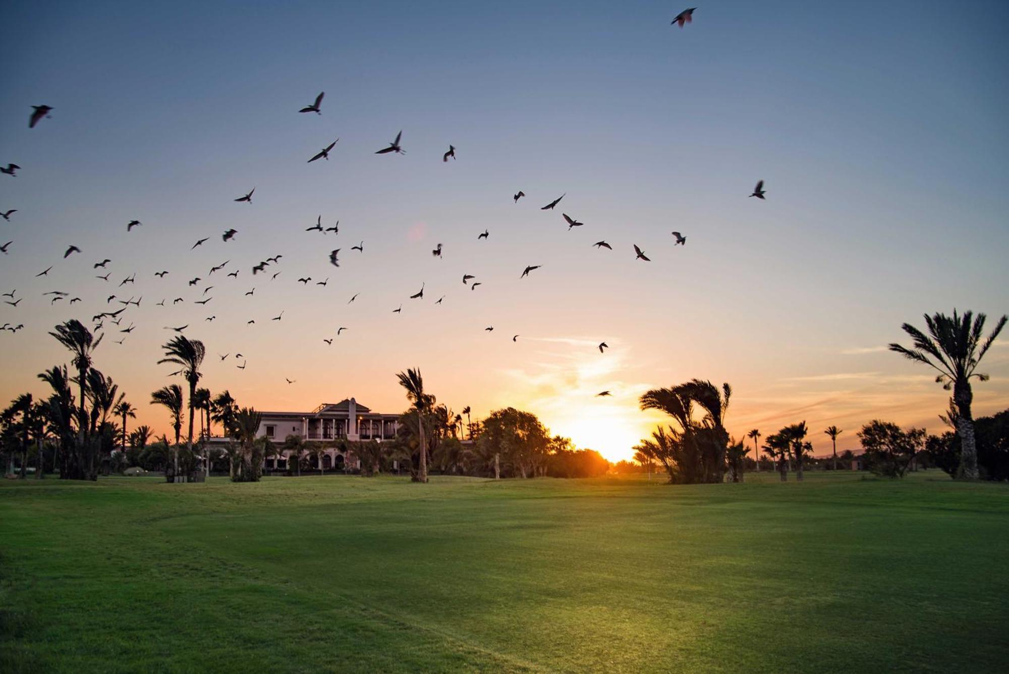 Pickalbatros Hotel Du Golf - Adults Friendly 16 Years Plus- All-Inclusive Marrakesh Exteriör bild